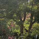 Villa A Casa Di Gemma