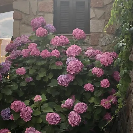 A Casa Di Gemma 빌라 *