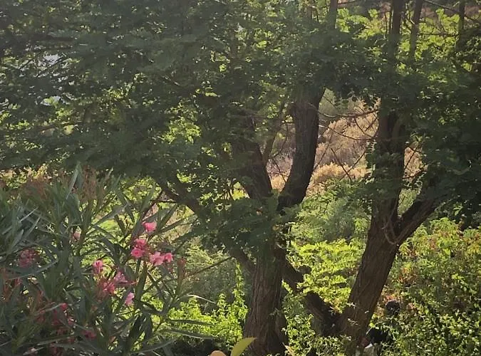 Villa A Casa Di Gemma