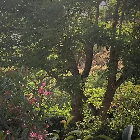 Villa A Casa Di Gemma