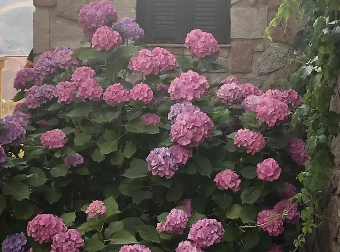 A Casa Di Gemma Villa *